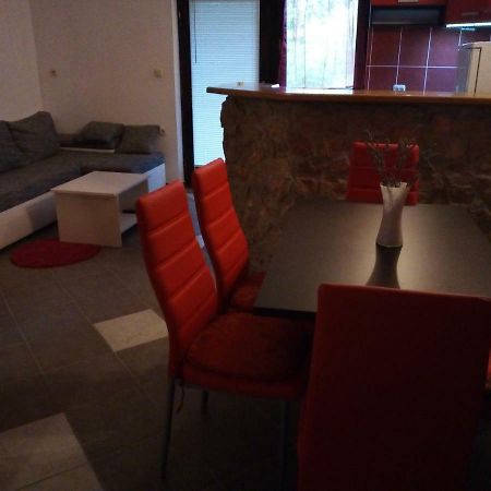 Studio Apartman Hrast Seline Dış mekan fotoğraf