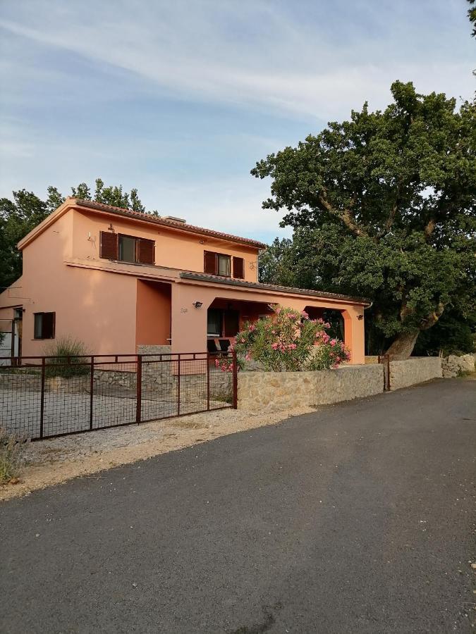 Studio Apartman Hrast Seline Dış mekan fotoğraf